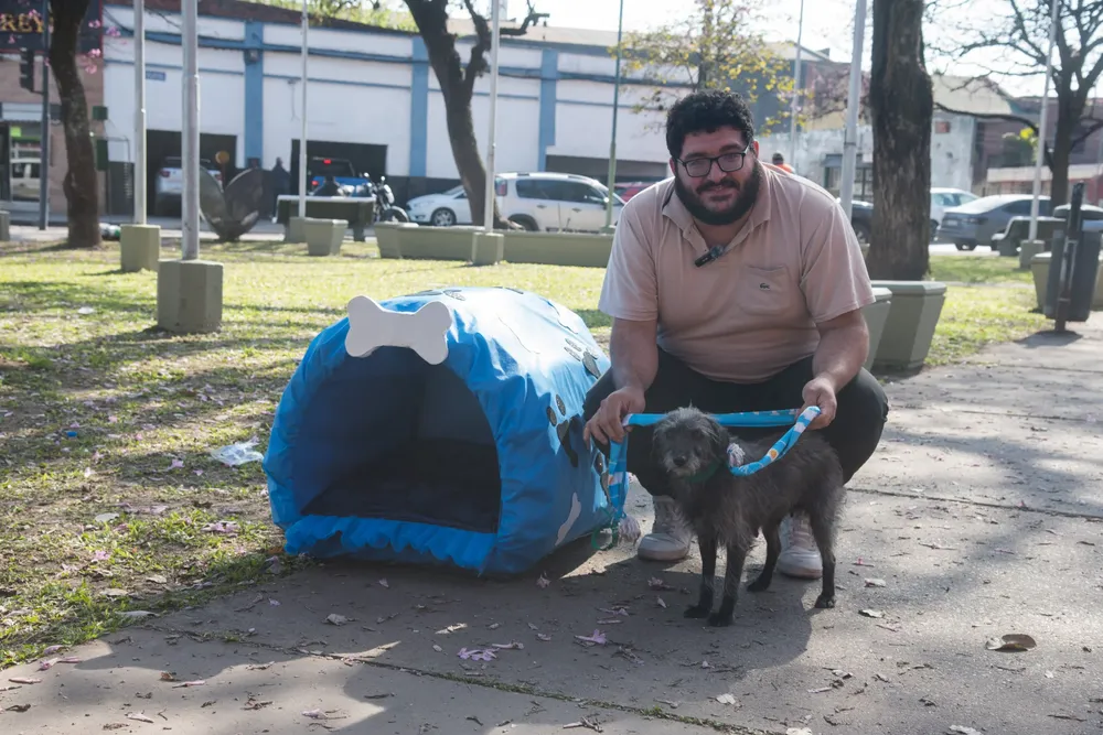 2026 casitas para mascotas Empleo (3)