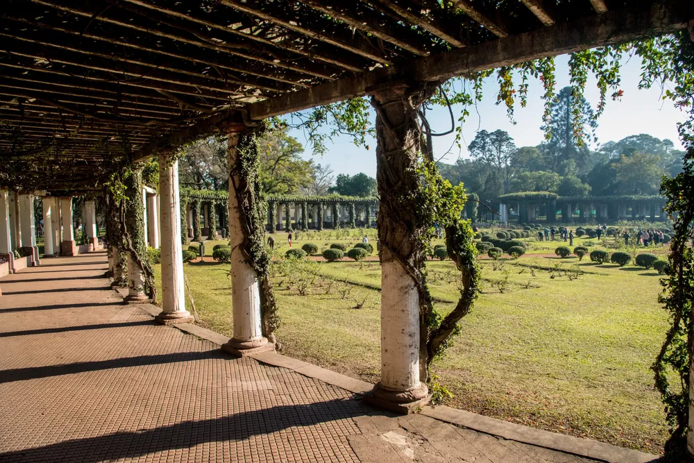 Revalorización del Rosedal del Parque 9 de Julio (2)